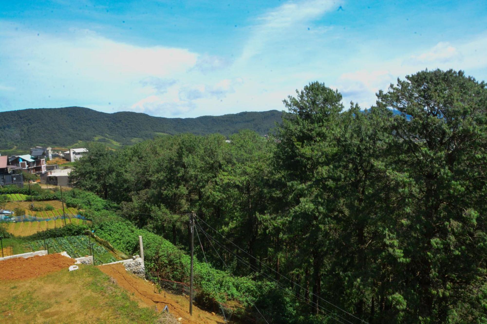 High Cliff Villa นูวาราเอลิยา ภายนอก รูปภาพ