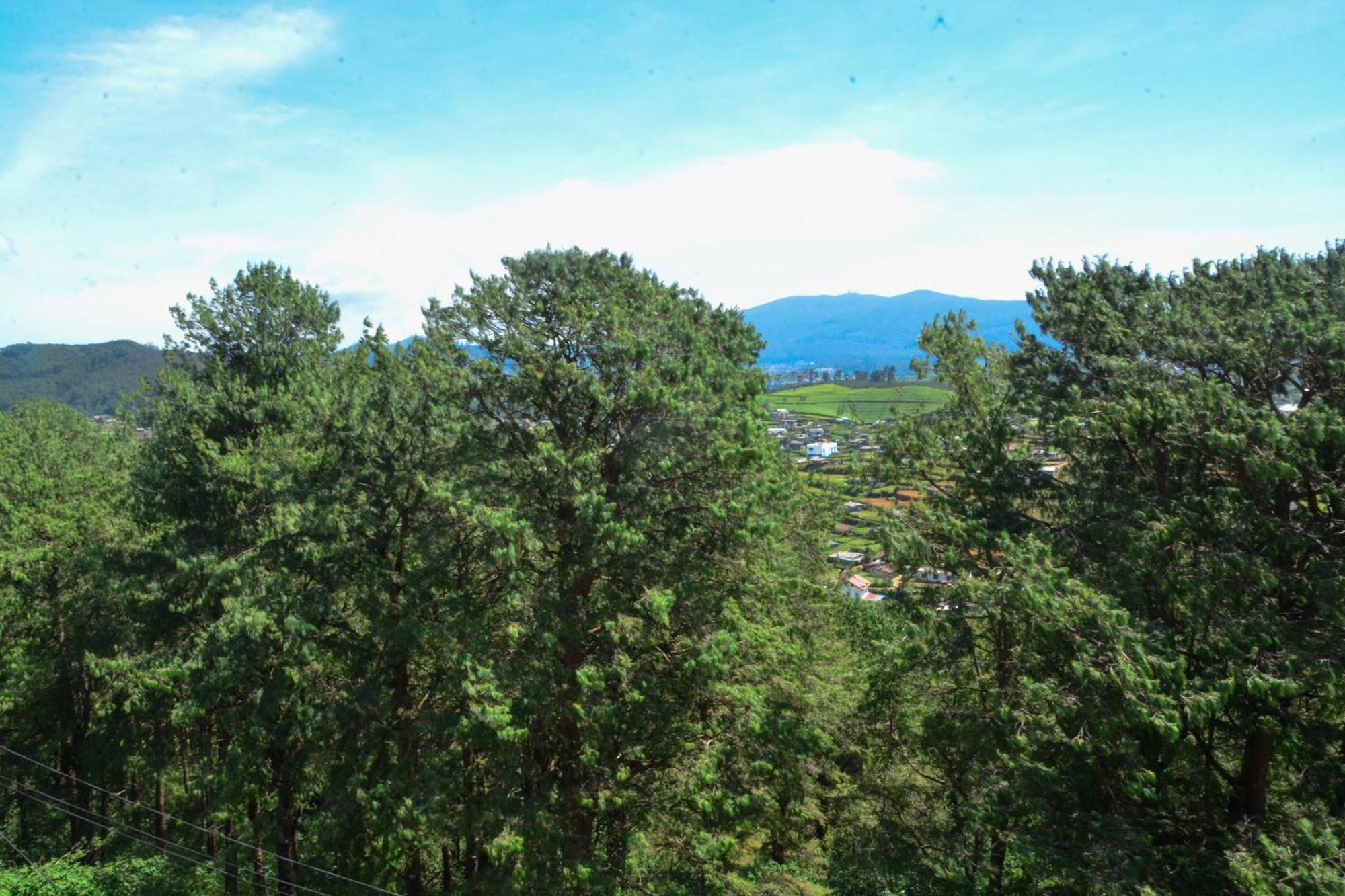 High Cliff Villa นูวาราเอลิยา ภายนอก รูปภาพ
